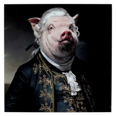 Cuadro Cristal Gentleman Pig