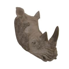 Busto Rinoceronte