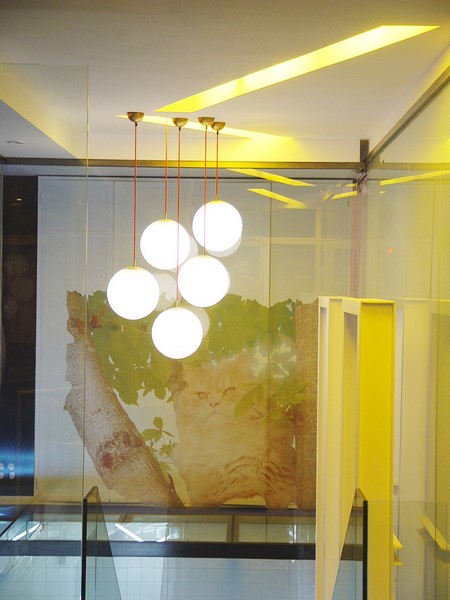 decoracion clinica veterinaria
