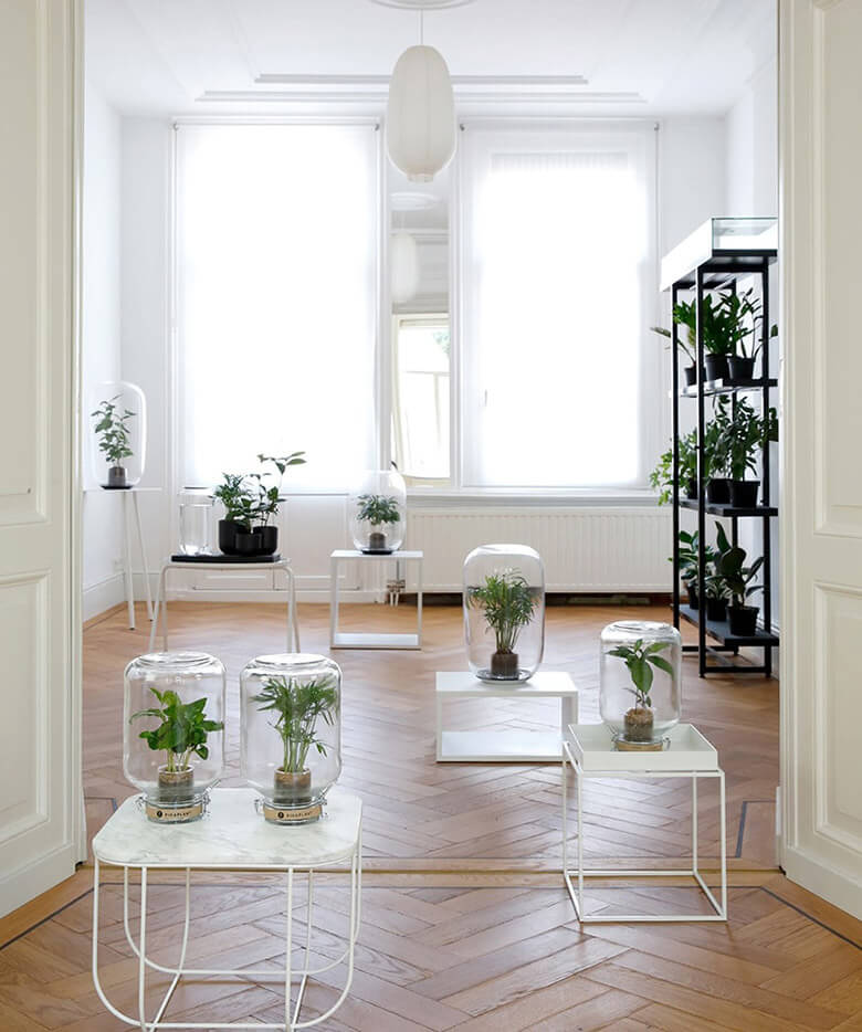 tendencias decoración interiorismo tendencias decoración interiorismo