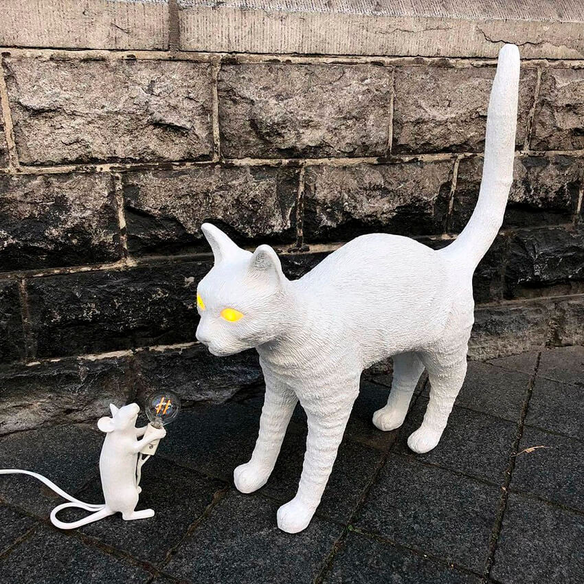 jobby the cat seletti jobby the cat seletti